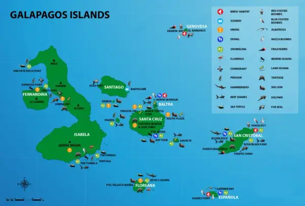 Wyspy Galapagos: Gdzie leżą i jak zaplanować podróż życia?