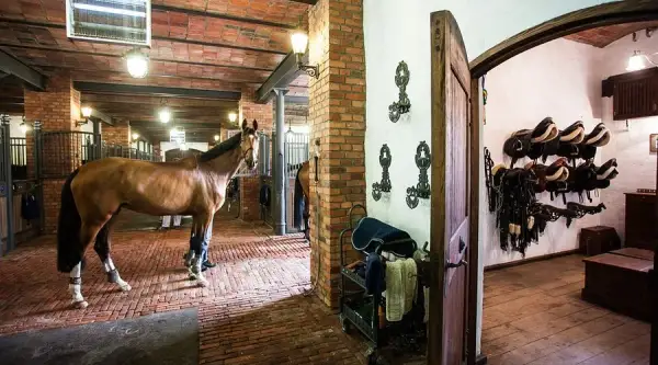 Stadnina koni Zamość - najlepsze oferty i opinie o stajniach