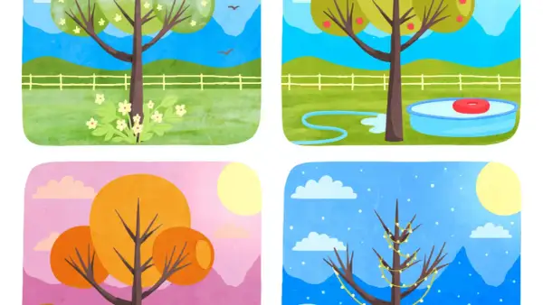 Ilustración del orden de las estaciones del año: árbol con flores (primavera), con manzanas y piscina (verano), con hojas naranjas (otoño) y con luces (invierno).