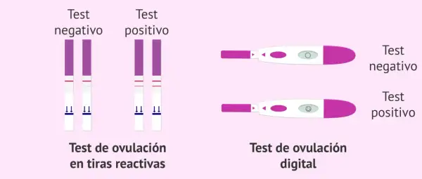 Comparativa de test de ovulación: tiras reactivas con dos líneas (positivo) y digital con carita sonriente (positivo).