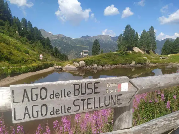 Segnavia in legno indica "Lago delle Buse" e "Lago delle Stellune", con montagne sullo sfondo e fiori viola in primo piano.
