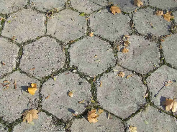Szara, sześciokątna kostka brukowa, z mchem i opadłymi liśćmi, tworzy jesienną trelinkę.