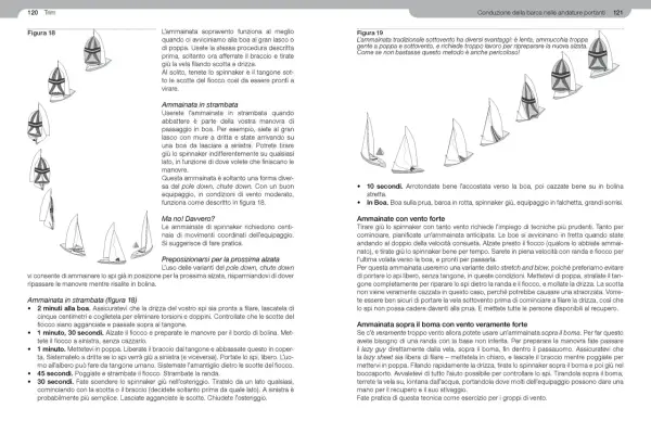 Vele triangolari in manovra: ammainata in strambata e con vento forte.