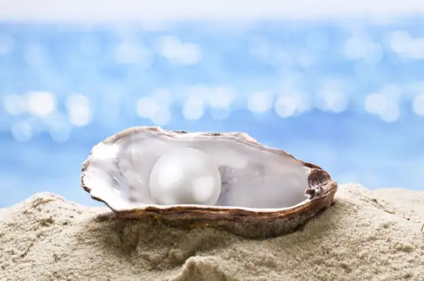 Ostra en la arena con una perla brillante. ¿Cuánto tarda una ostra en hacer una perla? El tiempo varía, pero el resultado es una joya natural.