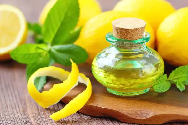 Olio essenziale di limone in una bottiglietta, con scorze di limone e foglie di menta. Il limonene cos'è? È il componente principale di questo olio profumato.