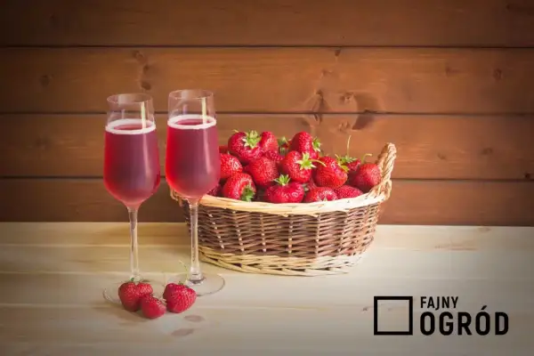 Dwa kieliszki z różowym napojem i koszyk pełen świeżych truskawek. Idealne na letnie popołudnie, może to wino z truskawek?