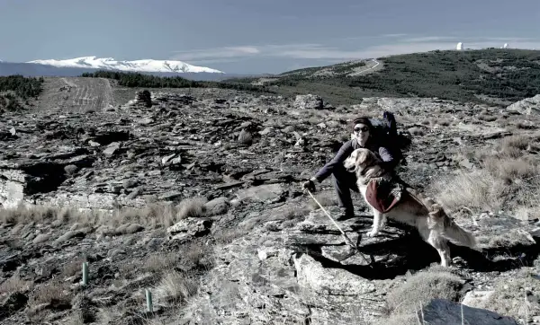 Senderismo en la sierra de los Filabres con mi fiel compañero. El paisaje rocoso y las cumbres nevadas crean un escenario impresionante.