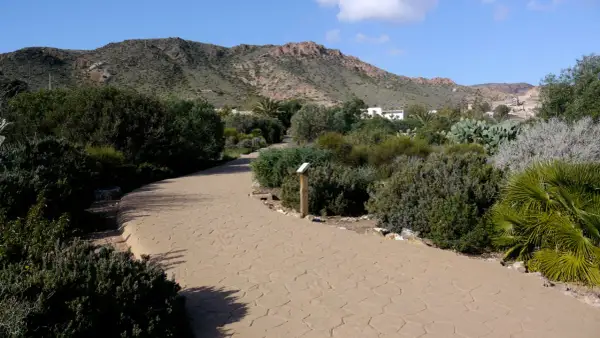 Camino sinuoso en el jardín botánico Rodalquilar, rodeado de vegetación mediterránea y montañas al fondo.