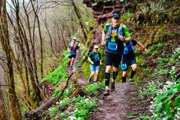 Des coureurs s'attaquent à un sentier de course en pleine nature, entourés de verdure et de fleurs sauvages.