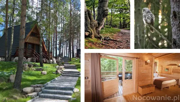 Podlasie: Domek nad jeziorem? Znajdź idealny wypoczynek!