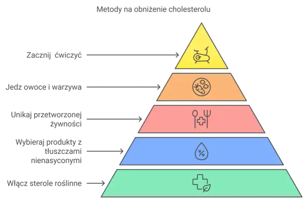 Cholesterol: prawda i mity. Jak obniżyć LDL i chronić swoje serce?
