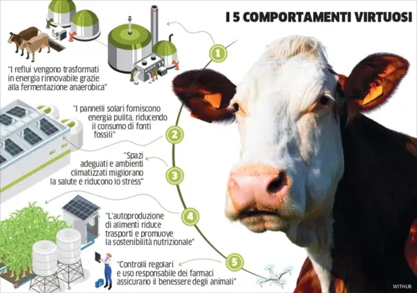 Allevamento della Lombardia: energia rinnovabile da reflui, pannelli solari, spazi adeguati, autoproduzione cibo e controlli sui farmaci per il benessere animale.