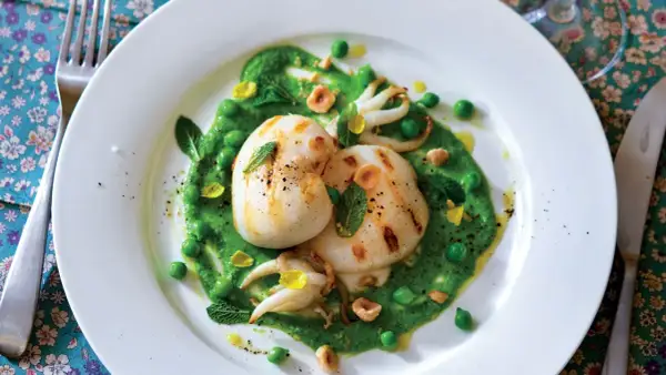 Deliziosi seppie alla griglia su un letto di crema di piselli, guarnite con menta fresca e nocciole tostate.
