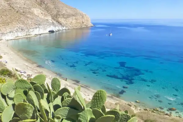 Cactus en primer plano en una cala de San José, Almería. Aguas cristalinas y un velero navegan en el mar azul.