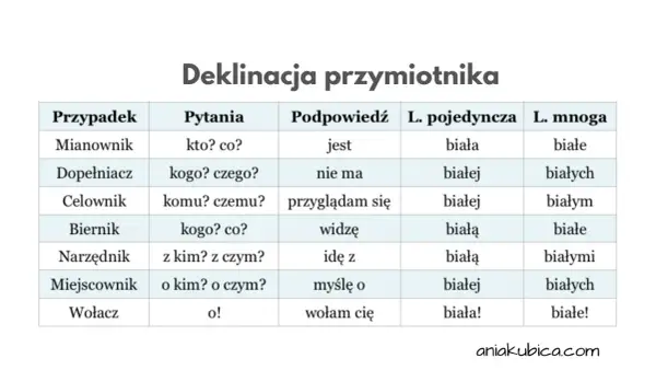 Tabela pokazuje, na co odpowiada przymiotnik w różnych przypadkach języka polskiego, np. "biała" w mianowniku.