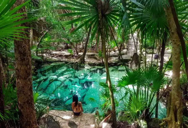 Una mujer se sienta junto a un cenote de agua cristalina en la selva de México, rodeada de exuberante vegetación y palmeras.
