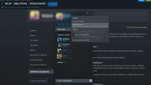 Okno Steam z opcjami statusu: Online, Zaraz wracam, Niewidoczny, Offline, Nie przeszkadzać.