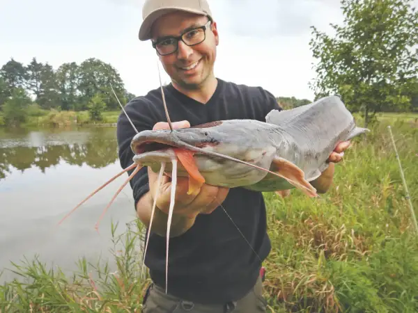 Glücklicher Angler präsentiert stolz einen großen afrikanischen Wels mit seinen charakteristischen Barteln.