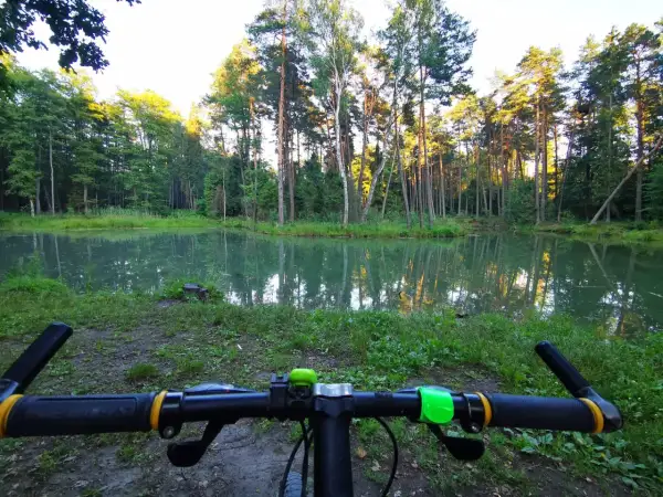 Rowerowy wypad do puszczy dulowskiej. Spokojna tafla wody odbija wysokie drzewa.