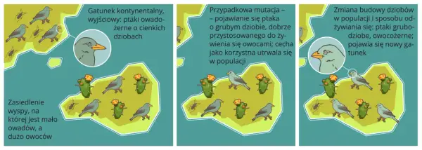 Izolacja geograficzna – jak wpływa na ewolucję i różnorodność gatunków
