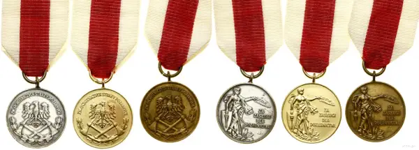 Brązowy medal za zasługi dla pożarnictwa, z orłem i toporami, lub postacią kobiety z gałązką.