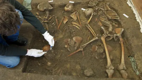 Archäologen untersuchen Skelette, die mit der C14-Methode datiert werden.