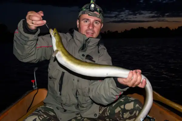 Ein Angler hält stolz einen frisch gefangenen aal im see. Die Nacht bricht herein, doch die Jagd war erfolgreich.