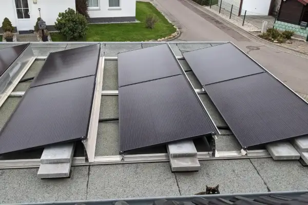Solarmodule auf einem Dach mit Dachpappe. Der Wandanschluss ist nicht sichtbar, aber die Montage auf Betonsteinen ist zu erkennen. Eine Katze schaut neugierig hervor.