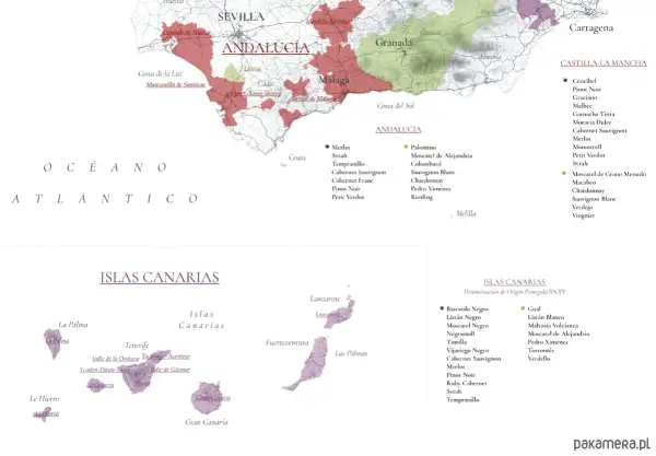 Mapa prezentująca regiony winiarskie Hiszpanii, w tym Andaluzję i Wyspy Kanaryjskie, z zaznaczonymi odmianami winogron.