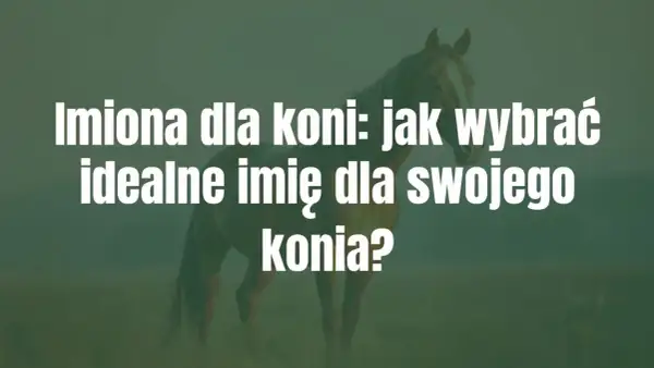 Imiona dla koni: jak wybrać idealne imię dla swojego konia? Biały tekst na tle konia.