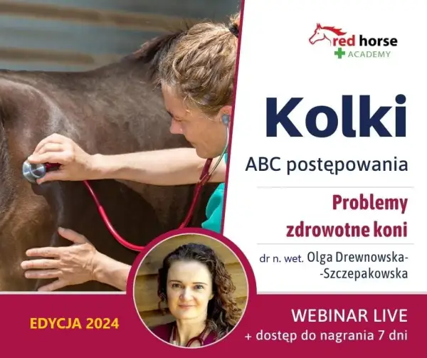 Objawy kolki u konia: jak je rozpoznać i uniknąć poważnych problemów