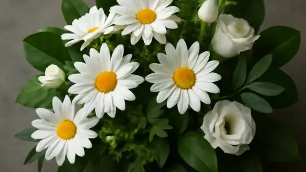 En bukett med vita margeritblommor och vita rosor, omgiven av gröna blad.