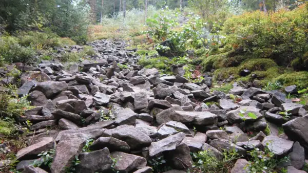 Kamieniste zbocze w rezerwat gołoborze, porośnięte mchem i niską roślinnością. Kamienie tworzą naturalną ścieżkę.