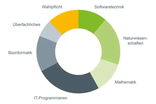Kreisdiagramm zeigt Module eines bioinformatik studium: Wahlpflicht, Softwaretechnik, Naturwissenschaften, Mathematik, IT-Programmieren, Bioinformatik, Überfachliches.