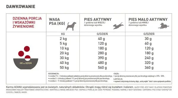Ile mokrej karmy dla psa tabela - uniknij błędów w karmieniu psa