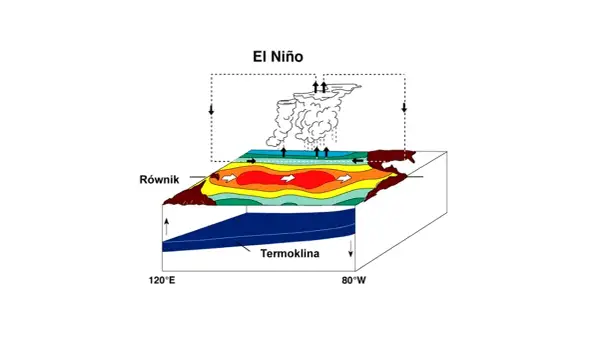 El Niño: schematyczne przedstawienie zjawiska, pokazujące ciepłe wody na równiku i chmury burzowe.