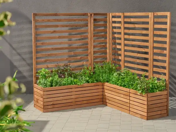 Drewniana pergola z listewek, idealna do stworzenia zielonej ściany z ziołami. Prosty sposób, jak zrobić pergolę z listewek.