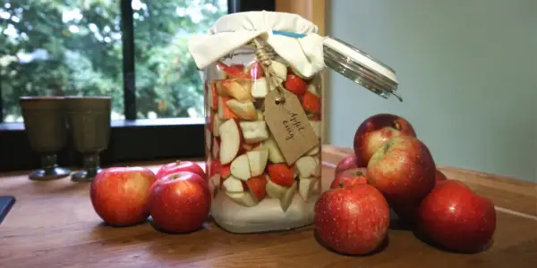 Ein Glas mit Apfelstücken und der Aufschrift "Apfel-essig" steht neben frischen Äpfeln. Manche glauben, Apfelessig hilft gegen Cholesterin.