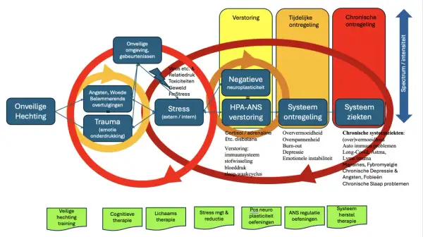 Onveilige hechting leidt tot stress, negatieve neuroplasticiteit en ontregeling, wat kan escaleren tot chronische systeemziekten. Leven met intensiteit vereist herstel.