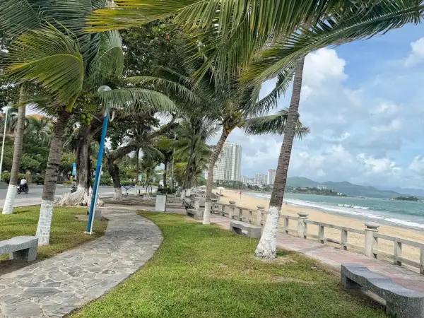 Aleja palmowa w Nha Trang prowadzi do piaszczystej plaży.