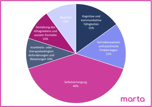 Kreisdiagramm zeigt Pflegegrad-Kriterien: Selbstversorgung (40%), kognitive/kommunikative Fähigkeiten (15%), Verhaltensweisen/psychische Problemlagen (15%), Mobilität (10%), Gestaltung Alltag/Kontakte (10%), krankheitsbedingte Anforderungen (10%). Dies...