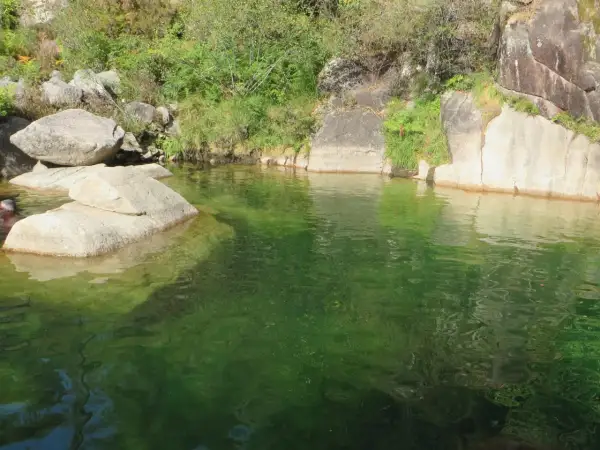 Un hombre se baña en la poza de agua verde de la corga da fecha, rodeada de rocas y vegetación.