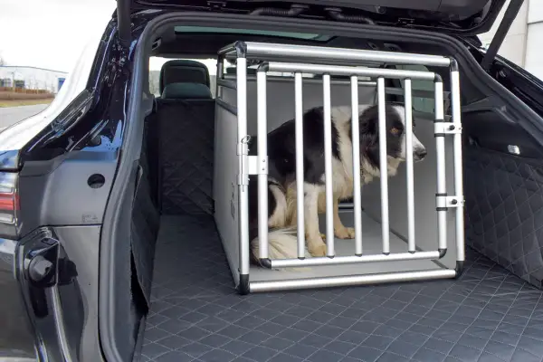 Un chien border collie dans une cage de transport en aluminium dans le coffre d'une voiture. La cage est bien positionnée, prête pour le voyage.