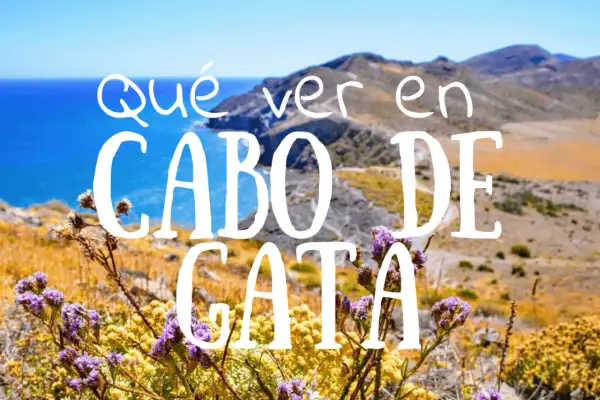Paisaje de Cabo de Almería con flores moradas y amarillas en primer plano y el mar azul al fondo.