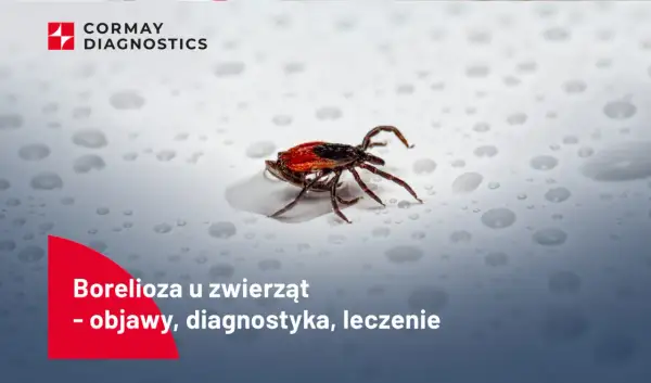 Kleszcz na mokrej powierzchni.