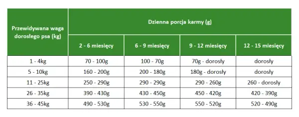 Co mogą jeść szczeniaki? Najlepsze pokarmy dla zdrowego wzrostu