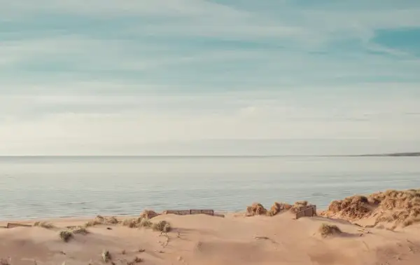 Sanddyner och gräs vid en lugn strand i Halland. Havet möter en ljus himmel med tunna moln.