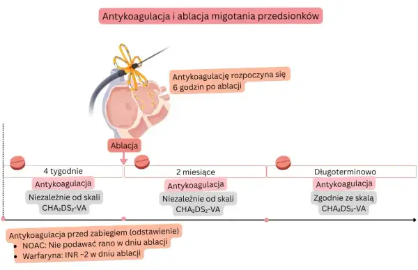 Schemat antykoagulacji po ablacji migotania przedsionków. Nowy lek na migotanie przedsionków jest kluczowy w terapii.