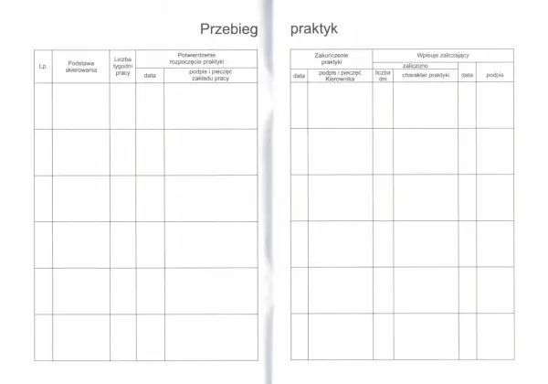 Jak wypełnić dziennik praktyk opiekun w żłobku - uniknij błędów