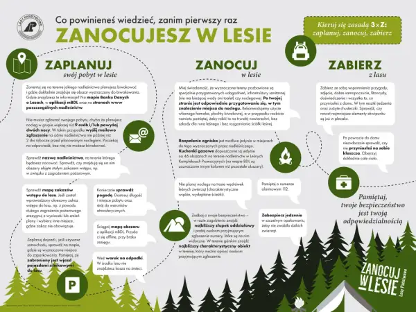 Planujesz nocleg w lesie? Sprawdź, co zabrać pod namiot: mapę, prognozę pogody, worek na śmieci i zabezpieczone jedzenie. Pamiętaj o bezpieczeństwie!